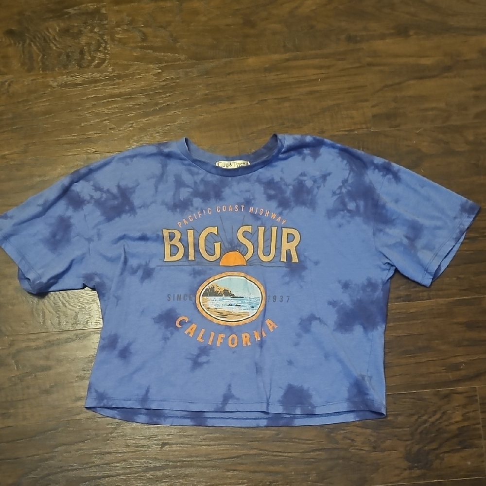 Blue Tie-Dye Crop Top with Big Sur Print